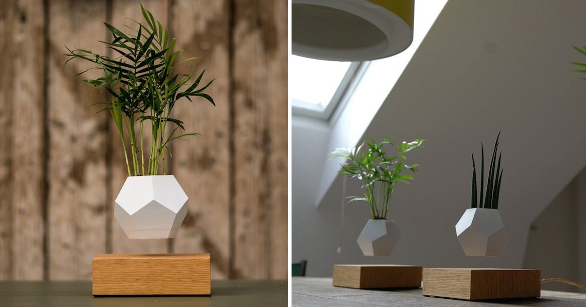 For over a year, Swedish scientist Simon Morris has been experimenting with levitating plants, growing common flora while suspended in the air. This system, called
LYFE
, consists of a planter ...