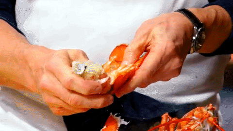 Learn how to properly prepare a Lobster like a boss today!